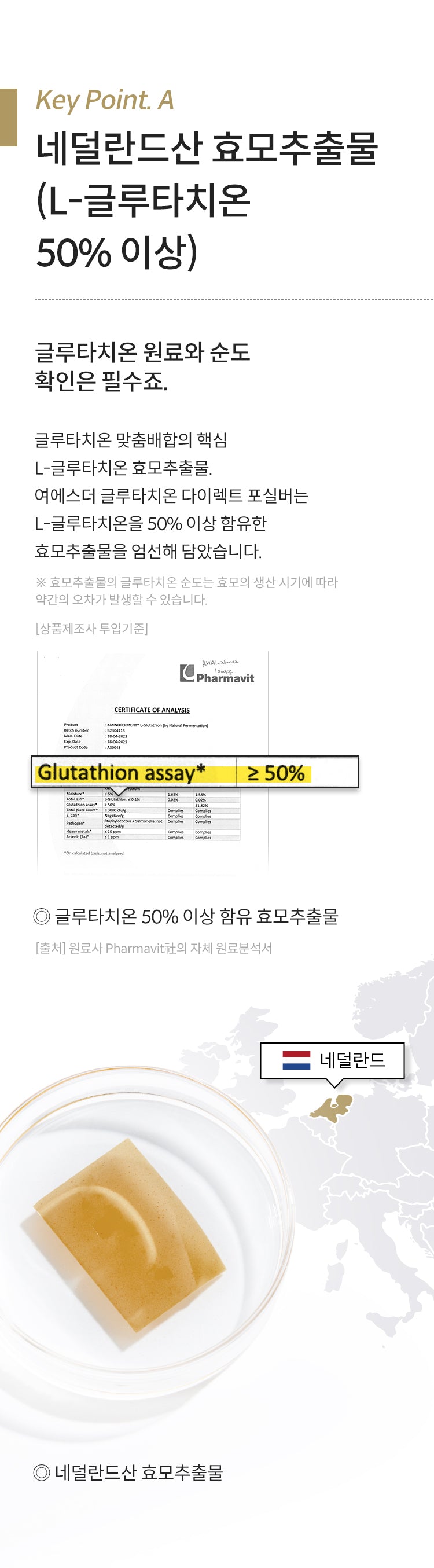 여에스더 글루타치온 필름 포 실버(홍삼&흑마늘), 30매, 1개