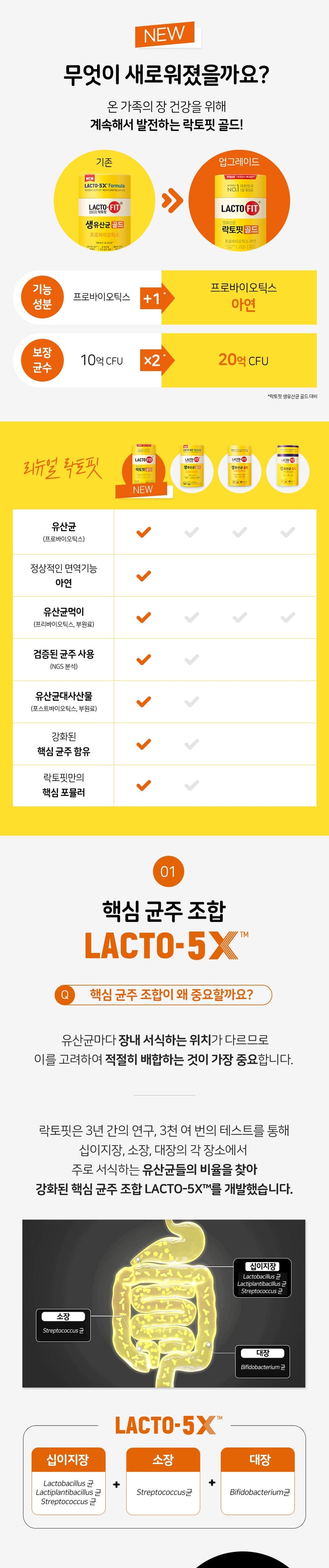 [패밀리 사이즈] 락토핏 골드 유산균, 80포, 1개